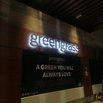 Greegrass Polanco denvidia total